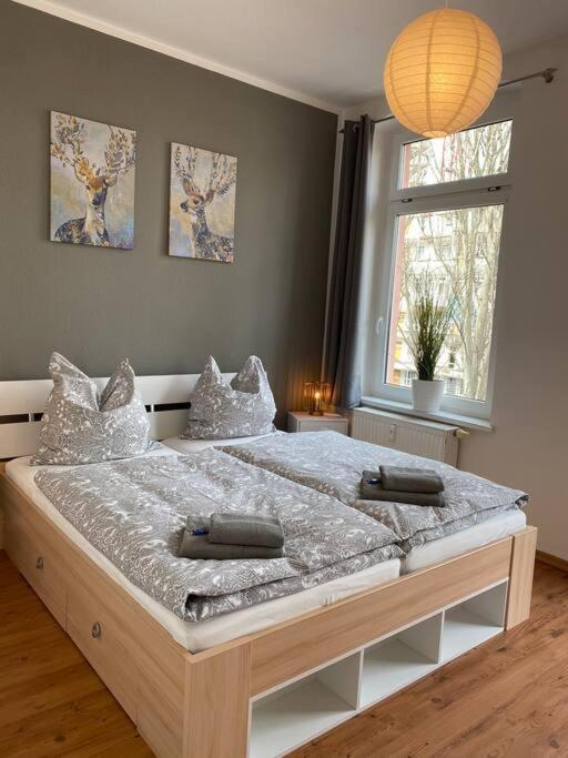 Akk4 - Apartment Md Zentrum Naehe Uni Und Hbf Magdeburg Exteriör bild