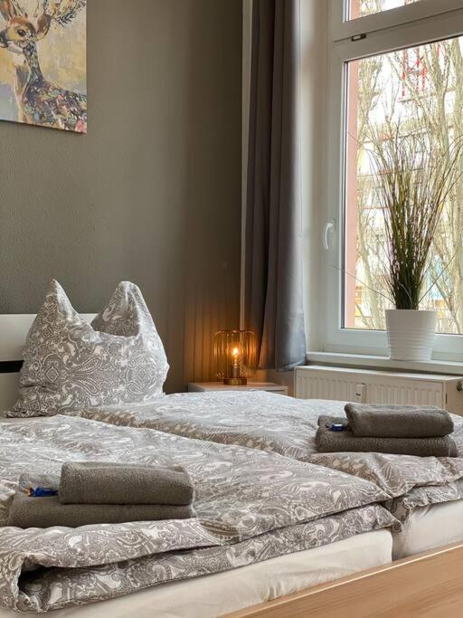 Akk4 - Apartment Md Zentrum Naehe Uni Und Hbf Magdeburg Exteriör bild
